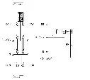 1000046797.webp